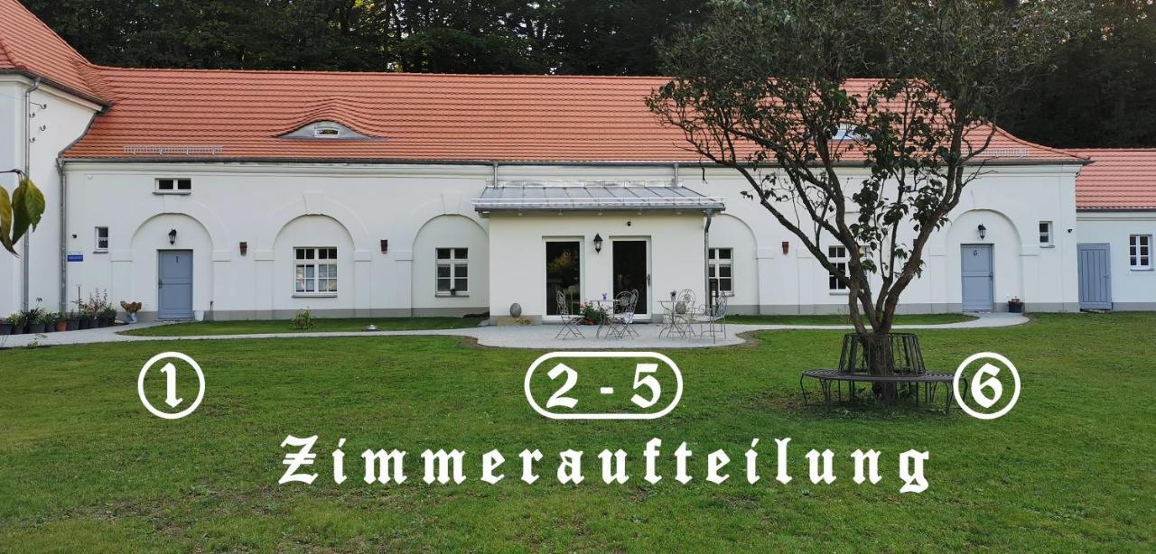 Guteborn Gaestehaus Vergissmeinnicht מראה חיצוני תמונה